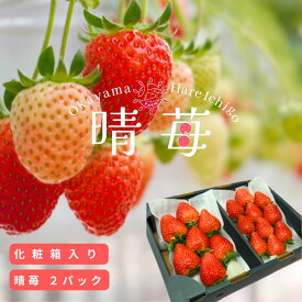 晴苺 はれいちご 岡山県産 [2パック入り化粧箱]【売れ筋】 フルーツ 果物 イチゴ いちご 苺 歳暮 お歳暮 御歳暮 プレゼント ギフト 贈り物
