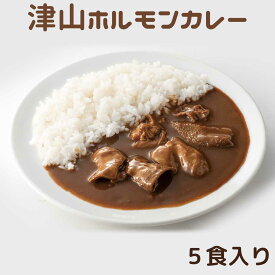 ホルモンカレー【送料無料】 ご当地グルメ 母の日 父の日 お中元 お歳暮 ギフト 贈り物 岡山 津山 つやまのギフト 地産地消 B級グルメ