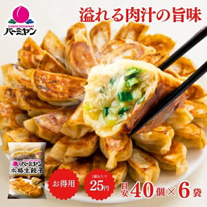 ⓀHi y Lq/o[~ {iLq 40(ڈ)×6/M[U 傤 ⓀLq ؑy y  ٓ tCp l炵 ȒP O Mtg OH