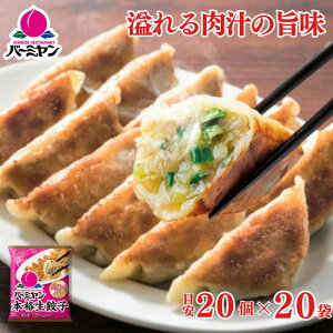 ⓀHi y Lq/o[~ {iLq 20(ڈ)×20/M[U 傤 ⓀLq ؑy y  ٓ tCp l炵 ȒP O Mtg OH