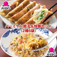【すかいーく期間限定SALE！クーポン利用で20％OFF！5,875円⇒4,700円！】冷凍食品 惣菜 餃子 炒飯 / バ…