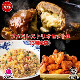 お中元 冷凍食品 惣菜 /ガスト×バーミヤン×から好し ファミレストリオセットB 3種6袋入り/中華惣菜 お惣菜 おかず 弁当 レンチン レンジ調理 一人暮らし 簡単調理 グルメ ギフト