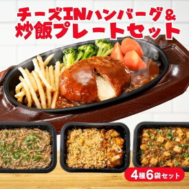 冷凍食品 惣菜 /ガスト チーズINハンバーグ＆バーミヤン 炒飯プレートセット 4種6袋/中華惣菜 お惣菜 おかず 弁当 レンチン レンジ調理 一人暮らし 簡単調理 グルメ ギフト