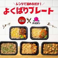 【お買い物マラソン限定SALE！クーポン利用で10％OFF！】冷凍食品 惣菜 /すかいらーく よくばりプレート …