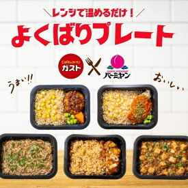 冷凍食品 惣菜 /すかいらーく よくばりプレート / お惣菜 おかず 弁当 レンチン レンジ調理 一人暮らし 簡単調理 グルメ ギフト 外食 ?温めるだけ