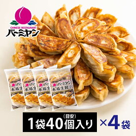 すかいらーく 通販 バーミヤン 餃子 ぎょうざ ギョウザ 冷凍 4袋 160個 目安40個入り×4袋 1個約23g 満足サイズ 国内工場製造 冷凍食品 買い溜め