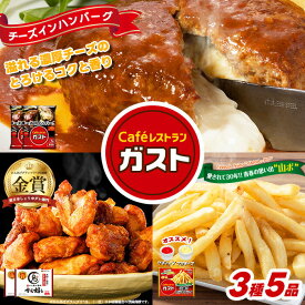 お中元 冷凍食品 惣菜 ハンバーグ　から揚げ/ガスト×から好し　おかずセット3種5袋(ガストおかずセット)/冷凍ハンバーグ デミグラスソース ポテト 洋食 洋風惣菜 お惣菜 おかず 弁当 湯煎 湯せん