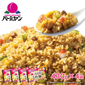 すかいらーく 通販 バーミヤン チャーハン 冷凍 本格 炒飯 4袋 1P 当たり 約1~2人前 ちゃーはん 焼き飯 レンジで簡単温めるだけ 冷凍食品 買い溜め