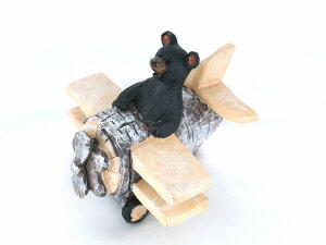 s@ɏN}yBear in Airplanez