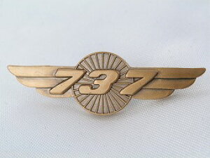yBoeing 737 Wings Pinz {[CO 737 ECO s
