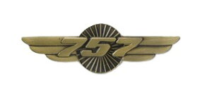 yBoeing 757 Wings Pinz {[CO 757 ECO s