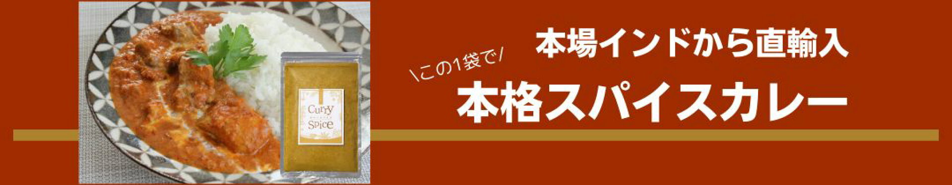 スパイスカレー
