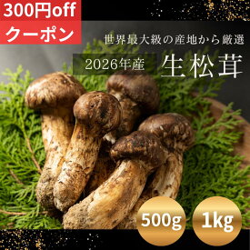 【マラソンP5倍】松茸 天然 2026年産 受注後に収穫して約1週間で発送 500g 1kg 輸入 鮮度抜群 生松茸 まつたけ つぼみ 開き 産地直送 鮮度良し