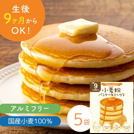 ホットケーキミックス 小麦粉 パンケーキミックス 小麦粉【レビュー投稿でプレゼント】D'sTs こめ粉 100g×3個、5個、10個セット ホットケーキ パンケーキ フライパン 国産 離乳食 国産米粉 アルミニウムフリー rice flour 最強配送