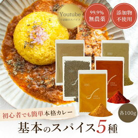 カレー粉 カレー スパイス セット 無添加 油脂不使用 【レビュー投稿でプレゼント カレーパウダー D'sTs 100g×5種 （ターメリック コリアンダー チリパウダー クミンパウダー クミンシード）スパイスカレー 佐々木YouTube