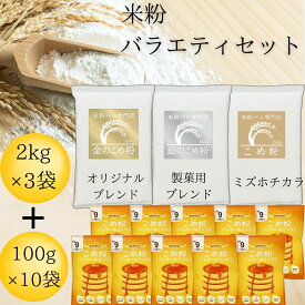 米粉 ミズホチカラ パン用 米粉パンケーキミックス 製菓用 【レビュー投稿でプレゼント】 ホットケーキミックス グルテンフリー 盛合せ セット D'sTs えこころ米粉 グルテンフリー アルミニウムフリー 離乳食 国産 無添加 低GI