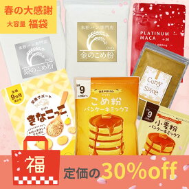 福袋 体に良い美味しいもの 詰め合わせ 米粉 ミズホチカラ パンケーキミックス 栄養サポート きなこ カレーパウダーMIX グルテンフリー 盛合せ セット アルミニウムフリー 離乳食 国産