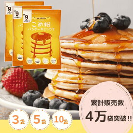 米粉パンケーキ ミックス 【ランキング1位、3冠達成】 パンケーキ 【レビュー投稿でプレゼント】 ホットケーキ ミックス 米粉D'sTs こめ粉 100g×3個、5個、10個、20個、30個 セット 国産 グルテンフリー 離乳食 国産米粉