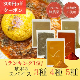 カレー粉 カレー スパイス セット 無添加 油脂不使用 【レビュー投稿でプレゼント カレーパウダー D'sTs 100g×5種 （ターメリック コリアンダー チリパウダー クミンパウダー クミンシード）スパイスカレー 佐々木YouTube