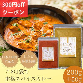 カレー粉 無添加 【楽天ランキング1位】 カレー スパイス ミックス チリパウダー セット 本格スパイスカレー 【レビュー投稿でプレゼント】 200g （約50皿分) セット そらの彩り 初心者に この1袋でOK レシピ多数掲載 3～4人家族×約13回分