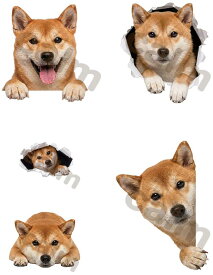 KOYOKOMA 犬 ステッカー スマホ 柴犬 アニマル シール スマートフォン ケース パソコン （DF3）