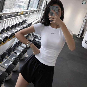 jOX|[ctBbglX  fB[X t Vc   JWA ʋC  V^ K  㒅 V[g ^Cc