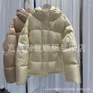 90   O _E WPbg  2024 ~ V^ V[g t[h t 邢 JWA p   R[g u[