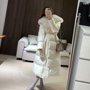   ݂  _E WPbg  2024 V ~ ƂĂ ꂢŁA N q s  