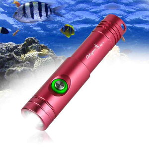 Odepro WD12 �ő�1050���[���� �_�C�r���O���C�g IP68�������C�g �_�C�o�[���C�g�_�C�r���O �p�����d�� LED �i�C�g�_�C�r���O