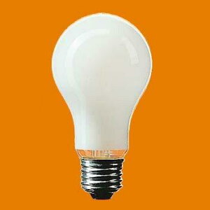 �p�i�\�j�b�N �V���J�d�� 110V 100W�` E26���� LW110V90W