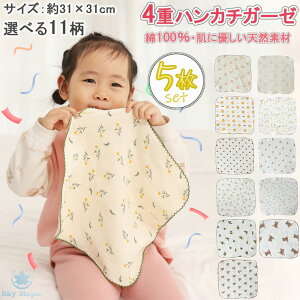 K[[nJ`  5Zbg 5g xr[ Ԃ K[[ 4d K[[ nJ` 31×31cm ct ۈ牀 l 킢  K[[^I xr[ru LbY V 100 Rbg _