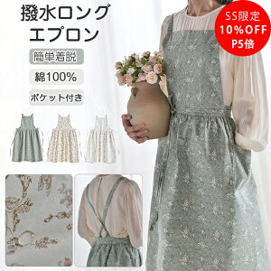 _SS11OFFIP5{^ Gv  O obNNX [NGv Rbg  100 傫TCY ԕ 킢  JtF H X^ Gv EȒP fB[X 