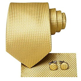 【中古】【輸入品・未使用】Hi-Tie ACCESSORY メンズ US サイズ: One Size カラー: ゴールド