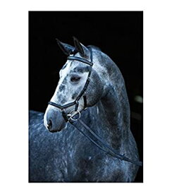 【中古】【輸入品・未使用】(Black%カンマ% Small Horse/cob) - Horseware Ireland Rambo Micklem Comp Bridle FEI Approved With Reins