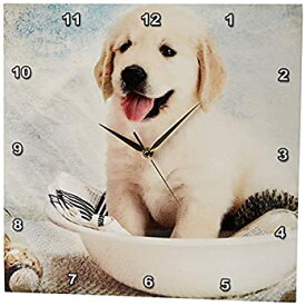 【中古】【輸入品・未使用】3dRose DPP_172989_3 かわいいゴールデンレトリバー 子犬 スパ デイ アート 写真 カーテシー バデストボス ウォールクロック、15 x 15インチ