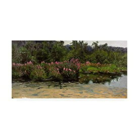 【中古】【輸入品・未使用】Trademark Fine Art Purple Lustrife Townsends Pond by Michael Budden 12x24 ALI44500-C1224GG