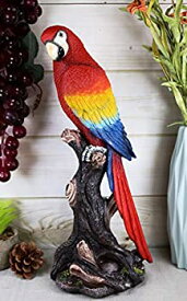 【中古】【輸入品・未使用】Ebros Gift 美しい熱帯雨林パラダイス 鳥 スカーレット コンゴウインコ 像 木の枝に止まる 装飾フィギュア 高さ13.75インチ