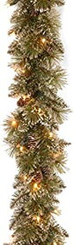 【中古】【輸入品・未使用】National Tree Company 照明済み 人工クリスマスガーランド | フロック加工 装飾とホワイトLEDライト付き | キラキラの毛の松 - 6フィート