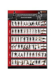 【中古】【輸入品・未使用】Ripcords Exercise Guide Poster | Resistance Band Workout Chart