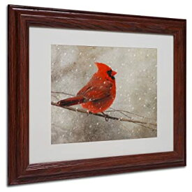 【中古】【輸入品・未使用】Trademark Fine Art Cardinal in Winter by Lois Bryan キャンバスアートワーク 木製フレーム入り 11 x 14インチ 11 by 14-Inch LBr053-W1114MF