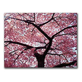 【中古】【輸入品・未使用】CATeyes Trademark Fine Art Cherry Tree キャンバス ウォールアート 18 by 24-Inch MZ003-C1824GG