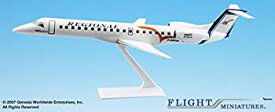 【中古】【輸入品・未使用】Flight Miniatures Regional Airlines Embraer RJ145 1:100 Scale Display Model