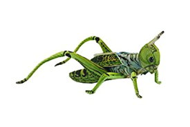 【中古】【輸入品・未使用】true-to-life Grasshopper Inグリーン