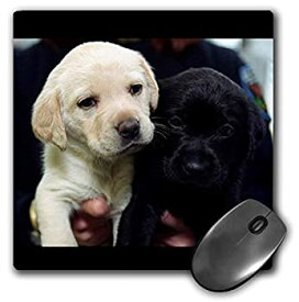 【中古】【輸入品・未使用】3Dローズ 犬 ラブラドール レトリーバー犬 - 黒と黄色のラブラドールの子犬 - マウス パッド - マウスパッド - mp_1219_1 (並行輸入)