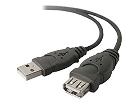 【中古】【輸入品・未使用】Belkin 16ft USB A/A 2.0 Extension Cable%カンマ% M/F%カンマ% 480Mps - USB extension cable - USB (M) to USB (F) - USB 2.0-16 ft - molded - B2B