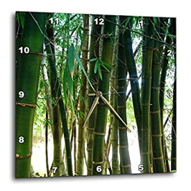 【中古】【輸入品・未使用】3dRose 竹製クローズウォールクロック、25.4cm (DPP_18608_1)