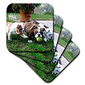 【中古】【輸入品・未使用】3dRose English Bulldogs Play Ball - Soft Coasters%カンマ% Set of 8 (cst_60013_2)