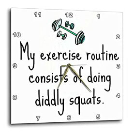 【中古】【輸入品・未使用】3dRose DPP_201937_3 My Exercise Routine Doing Diddly Squats 壁時計 15 x 15