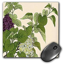 【中古】【輸入品・未使用】3dRose LLC 8 x 8 x 0.25 Inches Mouse Pad%カンマ% Purple and White Lilac Bushes Japanese Woodblock Print - (mp_171383_1) [並行輸入品]