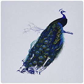 【中古】【輸入品・未使用】3dRose LLC 8 x 8 x 0.25 Inches Mouse Pad%カンマ% Picture of Gorgeous Blue/Turquoise Peacock (mp_101042_1) [並行輸入品]